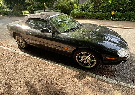 Jaguar XK8 Cabriolet -