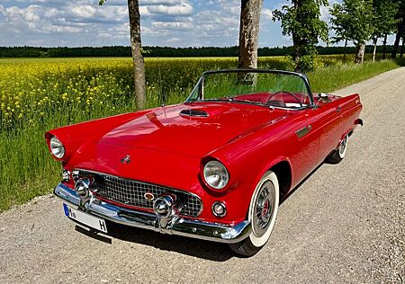 Ford Thunderbird 1955 V8 Sammler Automatik, Classic Data 70.000€