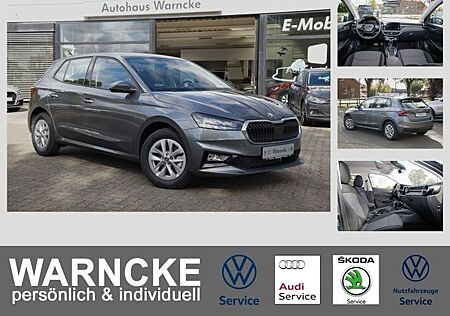 Skoda Fabia 1.0 TSI Selection DSG LED GRA LM PDC RFK S