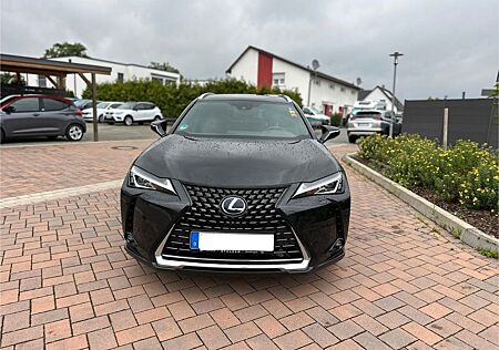 Lexus UX 250h Executive Line 1.Hand
