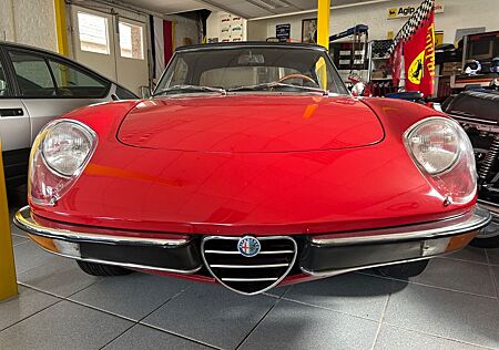 Alfa Romeo Spider 2000 Veloce | 4768 Miles