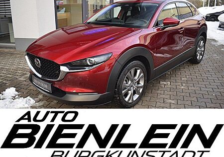 Mazda CX-30 6AG 2.5 140PS Center-Line Design-P Matrix-