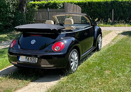 VW Beetle Volkswagen