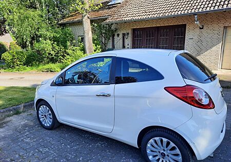 Ford Ka /+ 1,2 Ambiente Ambiente