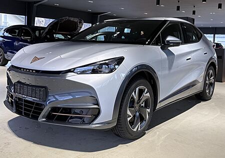 Cupra Tavascan Endurance Rückfahrkamera Sitzheizung