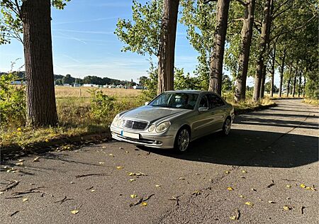 Mercedes-Benz E 500 AVANTGARDE