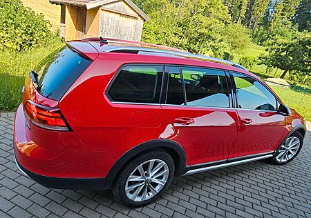 VW Golf Volkswagen 2.0 TDI 135kW SCR DSG 4MOTION Alltrack ...