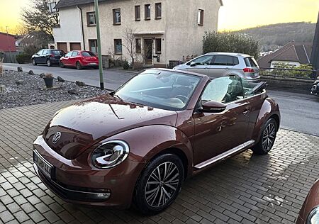 VW Beetle Volkswagen 1.2 TSI BMT ALLSTAR Cabrio Xenon Kam Navi
