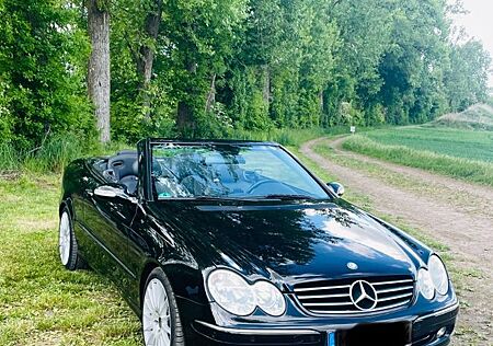 Mercedes-Benz CLK 200 KOMPRESSOR AVANTGARDE Cabrio Klimaanlage