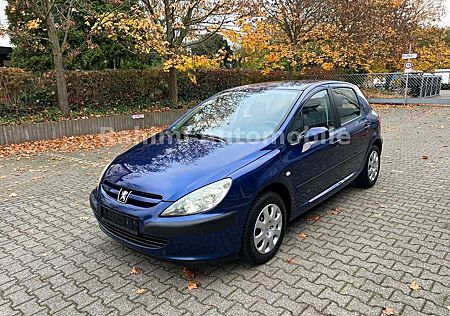 Peugeot 307 Grand Filou Cool Klimaalage Elektr. Fenster