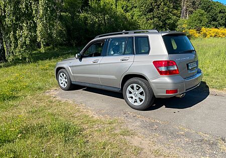 Mercedes-Benz GLK 220 CDI 4MATIC BlueEFFICIENCY -