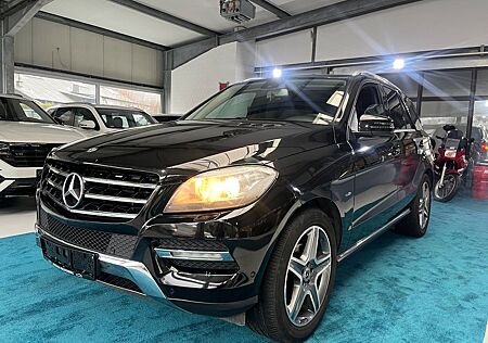 Mercedes-Benz ML 350 CDI BlueTec*AMG Paket