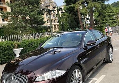 Jaguar XJ Premium Luxury 5.0 V8 Premium Luxury