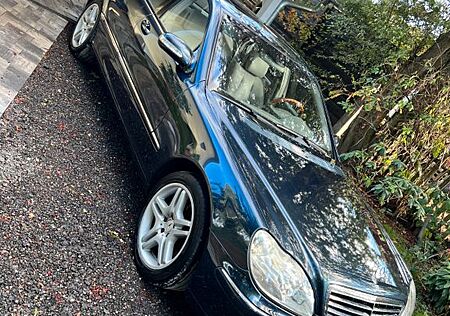 Mercedes-Benz S 500 4MATIC
