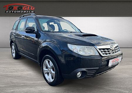 Subaru Forester Comfort Niveau Xenon Panodach AHK 4X4 S