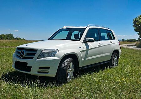 Mercedes-Benz GLK 220 CDI 4MATIC BlueEFFICIENCY -