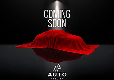 Hyundai i30 N PERFOMANCE DTC*2.HD*SCHALE*PANO*NAVI*R.KAM