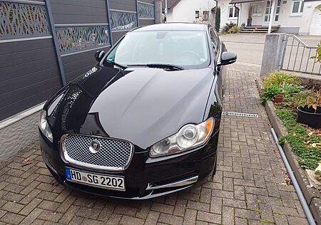 Jaguar XF 3.0 V6 Diesel Luxury Luxury