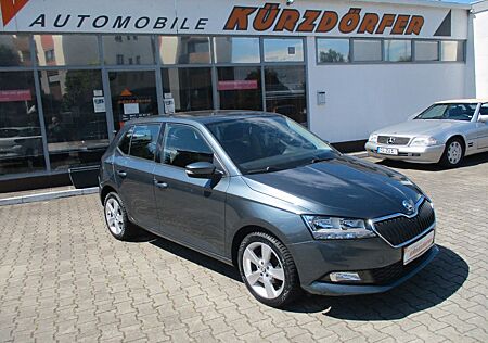 Skoda Fabia 1.0l MPI Cool Plus - Nur 47000 KM