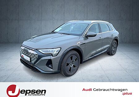 Audi Q8 e-tron advanced 50 qu. PANO HUD AHK Matrix 19