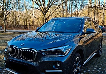 BMW X1 xDrive25i, Standheizung, Pano, Leder