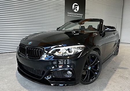 BMW 228i Cabrio xDrive/CARPLAY/ADAP.LED/H&K