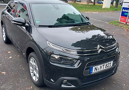 Citroën C4 Cactus BlueHDi 120 S&S Shine EAT6 Shine