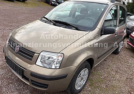 Fiat New Panda 1.2 8V Dynamic *KLIMA*KEIN ROST*