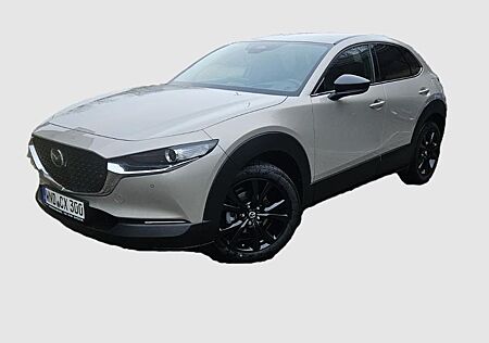Mazda CX-30 2.5i e-Sky Homura 6AT,Kamera,PDC v+h,Login