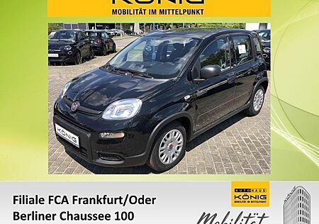 Fiat Panda MY24 1.0 Klima PDC Radio
