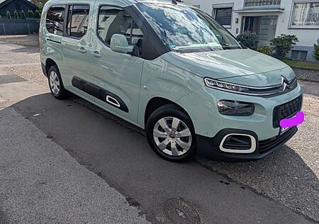 Citroën Berlingo BlueHDi 130 S&S SHINE XL EAT8 SHINE