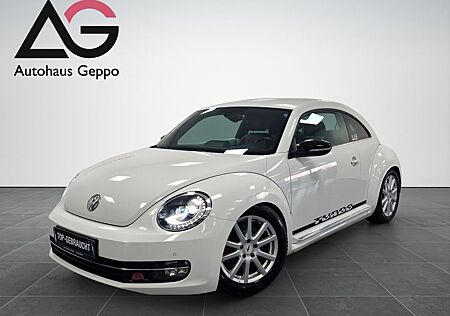 VW Beetle Volkswagen Lim. Sport/DSG/99 € mtl.