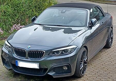 BMW 230i Steptronic Cabrio, M Sport,großes Navi