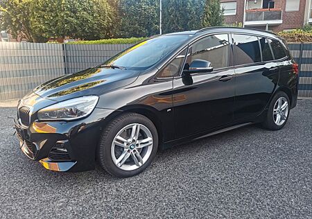 BMW 2er 218 d Gran Tourer M Sport Navi-Pano-LED