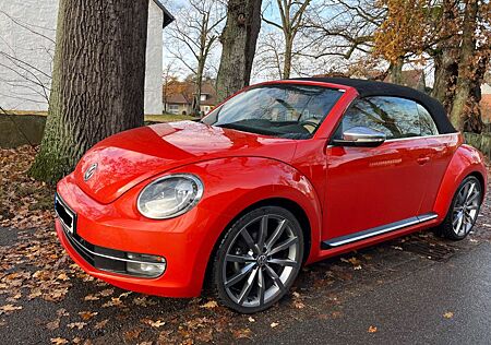 VW Beetle Volkswagen 2.0 TDI 110kW DSG BMT Excl. Design Cabrio