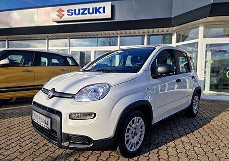 Fiat Panda MY22 Hybrid