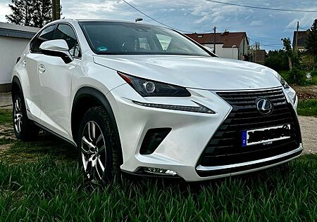 Lexus NX 300 NX 300h Hybrid