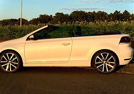 VW Golf Volkswagen 1.6 TDI CUP Cabriolet CUP