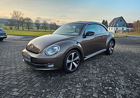 VW Beetle Volkswagen Sport 1.4 TSI Unfallfrei "Xenon,Navi,GRA"
