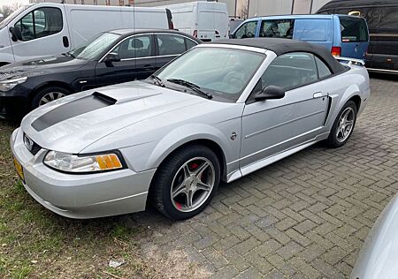 Ford Mustang GT Cabrio V8 4.6L - 35th Anniversary Ed.