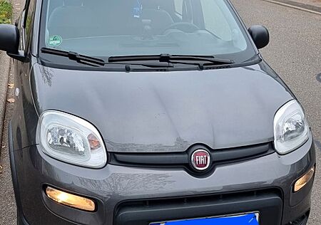 Fiat Panda 1.2 8V CITY LIFE LPG CITY LIFE