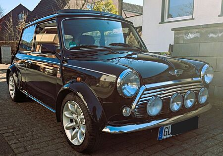Rover Mini MPI