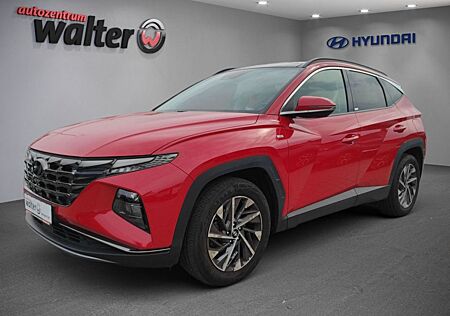 Hyundai Tucson 1.6 T-GDI Trend Mild-Hybrid 2WD, Panorama