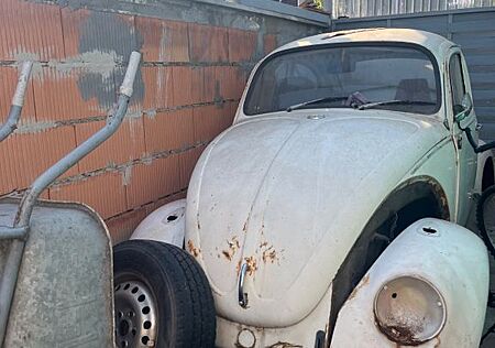 VW Käfer Volkswagen