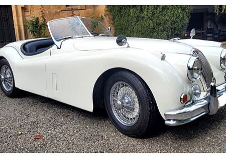 Jaguar XK 140 ROADSTER