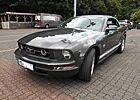 Ford Mustang Cabrio V6 Automatik TÜV neu