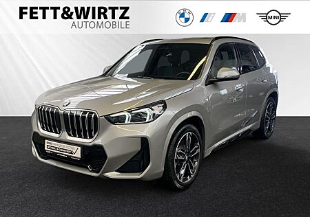 BMW X1 sDrive20i M Sport|Panoramadach|H/K|DA+