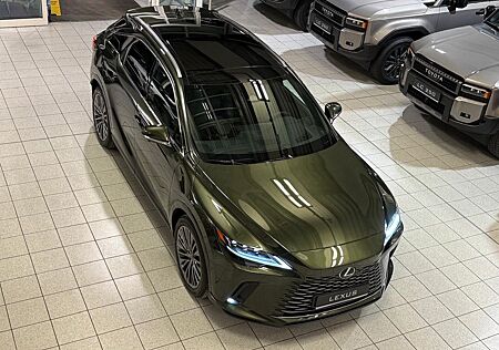 Lexus RX 450 + - LUXURY-PANO.-MARK LEV-360 CAM-67.190,-