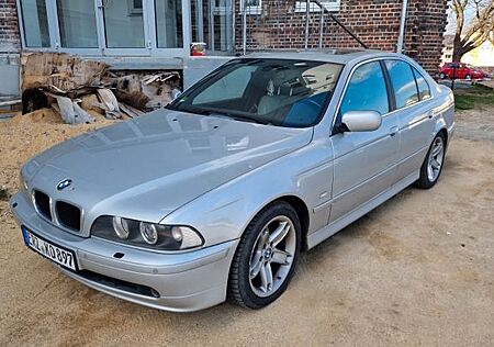 BMW 530i E39 *Motor neu* *Service neu*