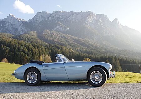 Austin Healey Andere